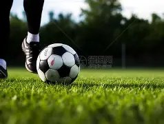 本菲卡欧冠,遭巴塞罗那,逆转,香港赛马会,香港马会,赛马赛事,马术资讯