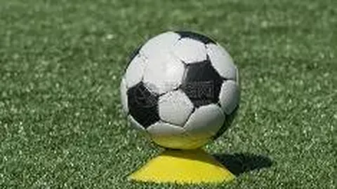 霍芬海姆客场逆袭，终结连败困境