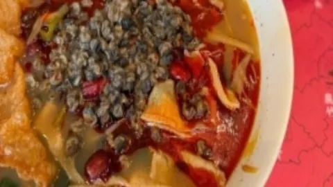 纽卡斯尔崛起解析：巧妙运用身高，掌握稳固定位球防守技巧